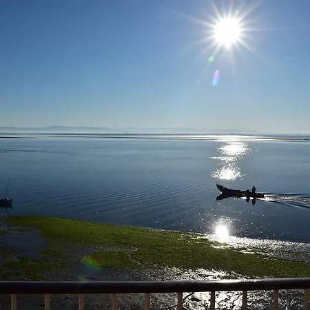 达利雅酒店 酒店 4*